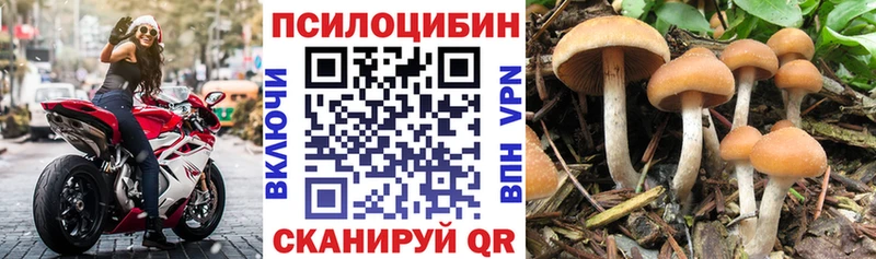Галлюциногенные грибы Magic Shrooms Торжок