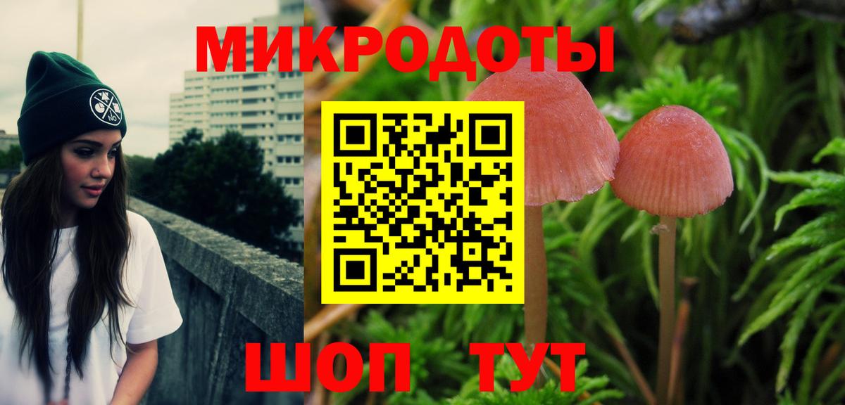 Псилоцибиновые грибы Magic Shrooms Торжок